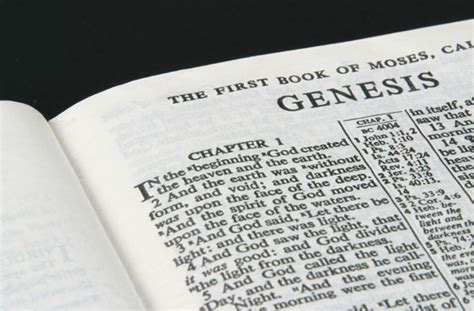 What is the Big Picture of the Book of Beginnings? - Bible Gateway Blog