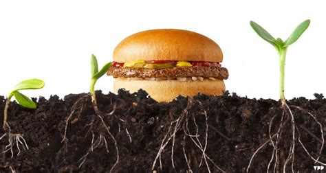 Mcdonald’s Introduces Beyond Meat McPlant Burger