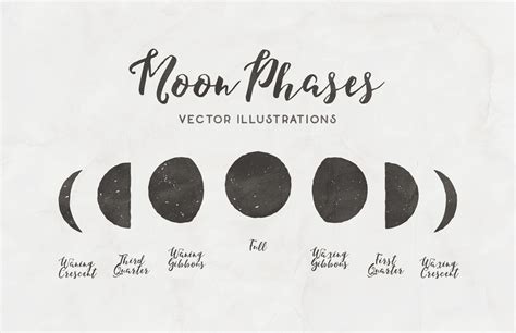 Moon Phases - Free Vector Illustrations — Medialoot