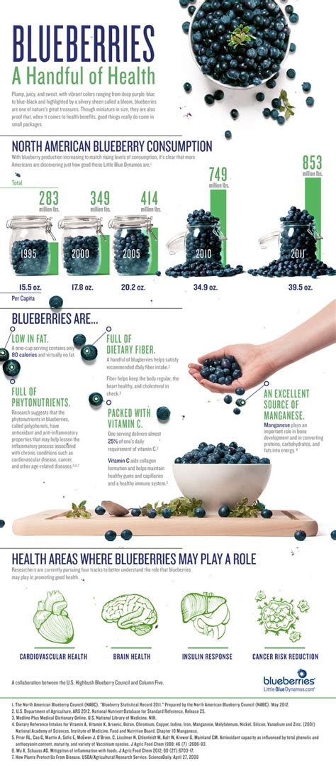 9 Blueberry Benefits Infographic – NaturalON - Natural Health News and Discoveries