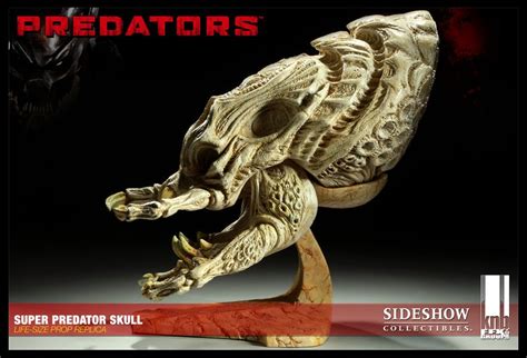 JIMSMASH ! ! !: PREDATOR SKULLS