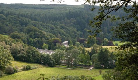 Grizedale Forest & Visitor Centre - Visit Lake District