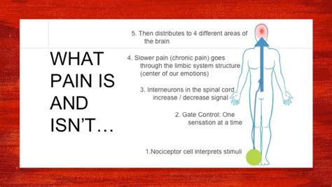 Multiple Sclerosis Pain Relief - Healing Multiple Sclerosis