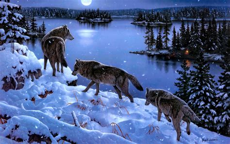 Wolfpack In Winter HD desktop wallpaper : Widescreen : High Definition : Fullscreen