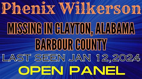 Phenix Wilkerson: 4-Year-Old Missing In Clayton, Alabama...OPEN PANEL - YouTube