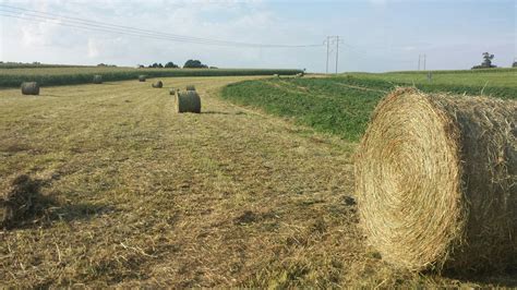 Making Hay – Orchardview Stables