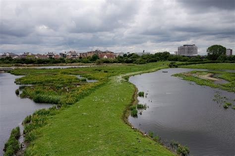 London Wetland Centre, London holiday accommodation: boats & more | Stayz