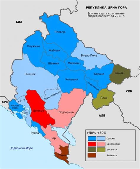 Численность и этнический состав населения Черногории :: SYL.ru