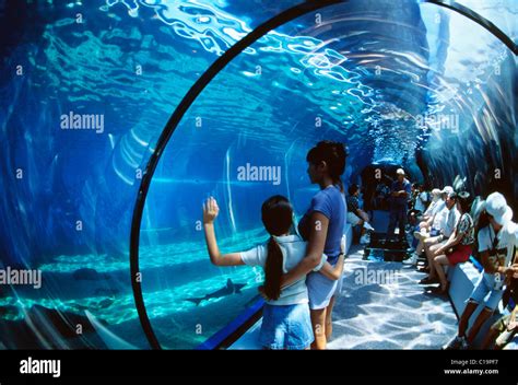 Maui Ocean Center, Hawaii Stock Photo - Alamy