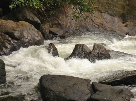 Thommankuthu Waterfalls - India Travel Blog