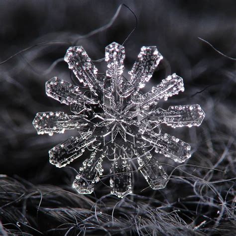 6 Amazing Close-Ups of Individual Snowflakes from this Winter » TwistedSifter