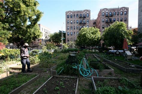 Community Gardens - Our Work in NY