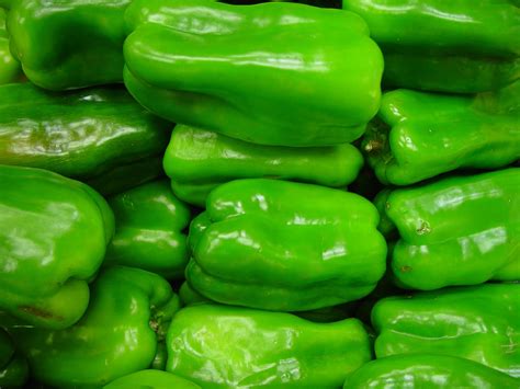 Free picture: green, capsicum