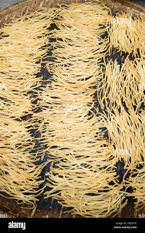 Cao Lau Noodles drying in the sun Stock Photo - Alamy