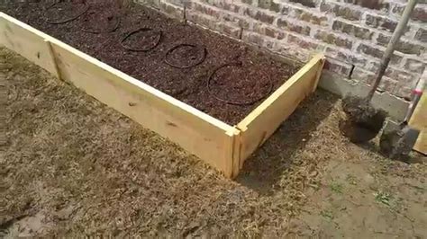 Growing peppers #9 and Adding Raised Beds! - YouTube