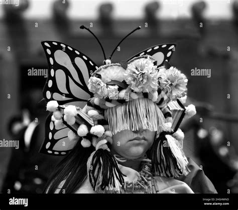 Southwest butterfly Black and White Stock Photos & Images - Alamy