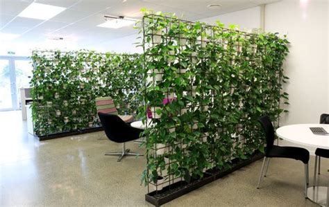 cool office fitouts - Google Search … | Plants, Vertical plant wall ...