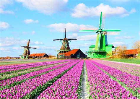 Holland Windmill Tours from Amsterdam - 2020 Travel Recommendations | Tours, Trips & Tickets ...