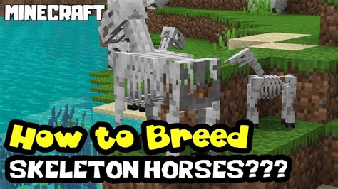 MINECRAFT | How to Breed SKELETON HORSES? - YouTube