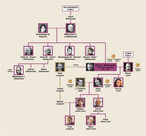 Marie Curie's Family Tree : r/UsefulCharts