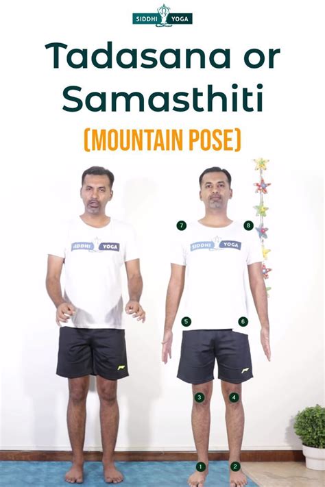 Tadasana or Samasthiti (Mountain Pose) | Video Tutorials | Mountain pose, Poses, Yoga poses