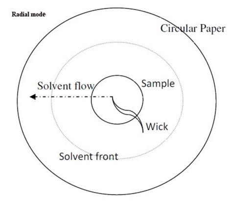 Paper Chromatography Diagram Stationary Phase