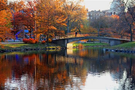 Fall Day on the Esplanade - Buy Rent Sell Boston