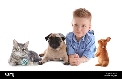 Little boy with cute pets on white background Stock Photo - Alamy