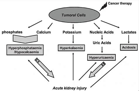 Tumor Lysis Syndrome Symptoms, Signs, Treatment, Guidelines and Complications