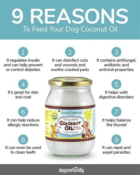 It's no secret that Coconut Oil is highly beneficial to your dog! Here are 3 great coconut oil ...