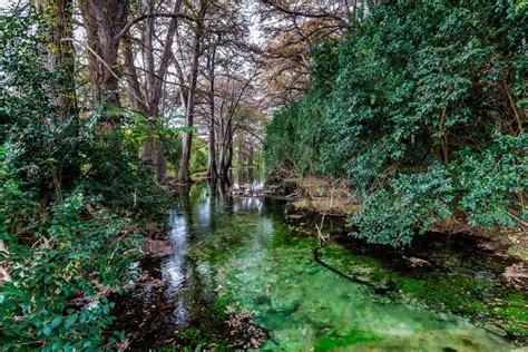 Best Tips for Frio River Tubing | Floating the Frio River - VERY TRULY TEXAS