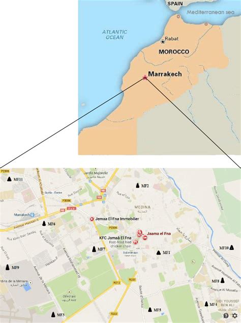 Map of Marrakesh (Morocco) showing the studied marble factories (MF ...