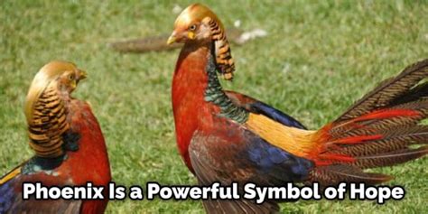 Phoenix Bird Symbolism, Meaning, and Totem Explained (2022)