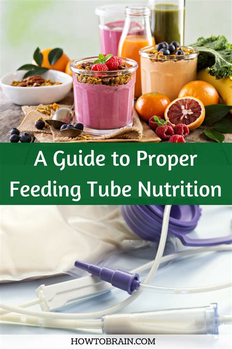 Complete Guide to Feeding Tube Nutrition - How To Brain | Feeding tube diet, Feeding tube, Nutrition