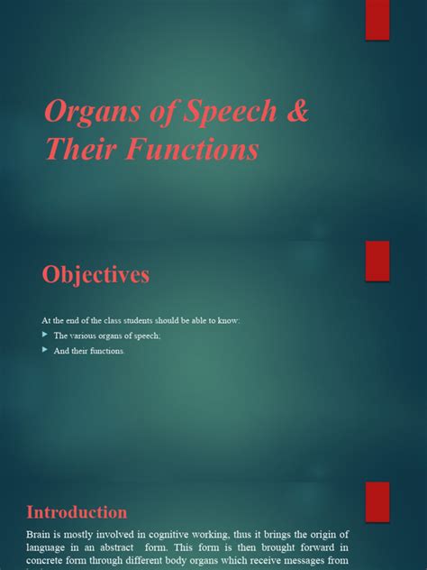 Organs of Speech & Their Functions | PDF | Larynx | Phonetics