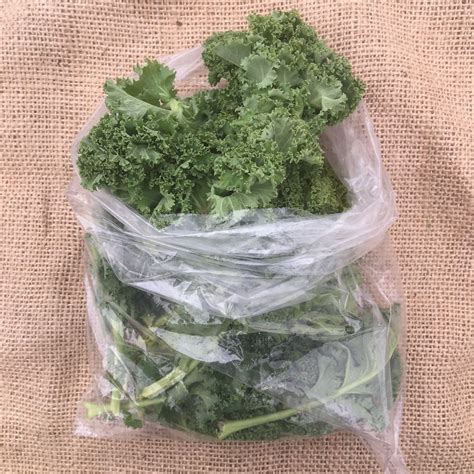 Curly Kale (300g bag) - Village Greens website