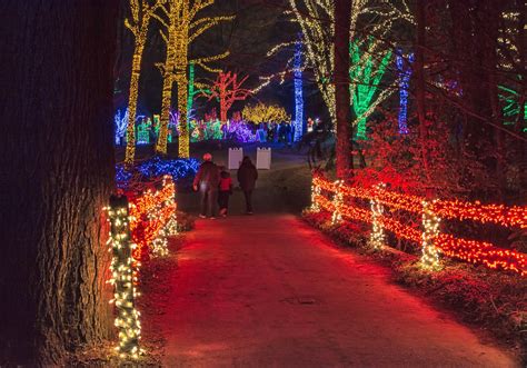 Winter Walk of Lights at Meadowlark Botanical Gardens 2024-2025 in Virginia - Rove.me