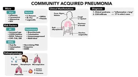 Community Acquired Pneumonia – The Clinical Problem Solvers