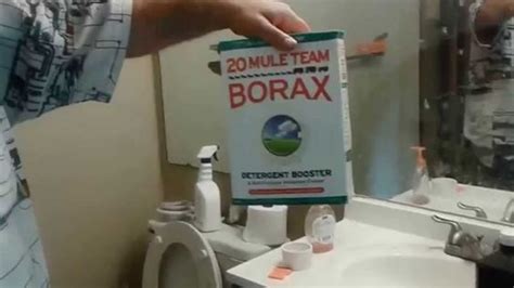 Termites Fumigation: Borax Termite Solution