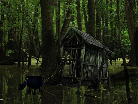 Swamp Witch's hut by SweetBeast413 on DeviantArt