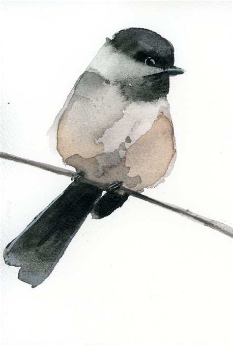 Black-capped Chickadee - Watercolor - Holly Wach — Holly Wach