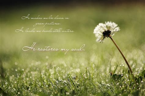 "He Restores My Soul - Card" by Tracy Friesen | Redbubble