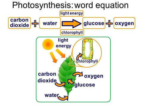 Friday Fun – Who Knew Biochemistry Could Be So Beautiful – Politics Plus