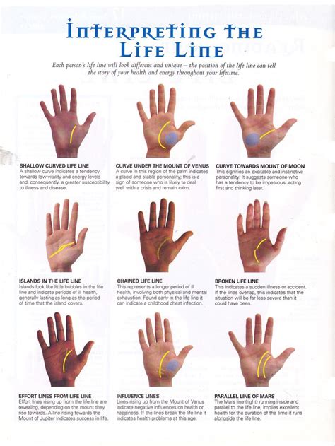 160 best Palmistry images on Pinterest