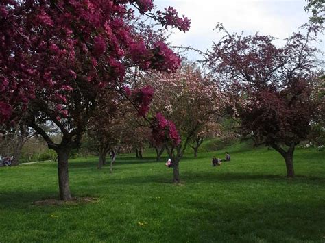 On the Grid : Queens Botanical Garden