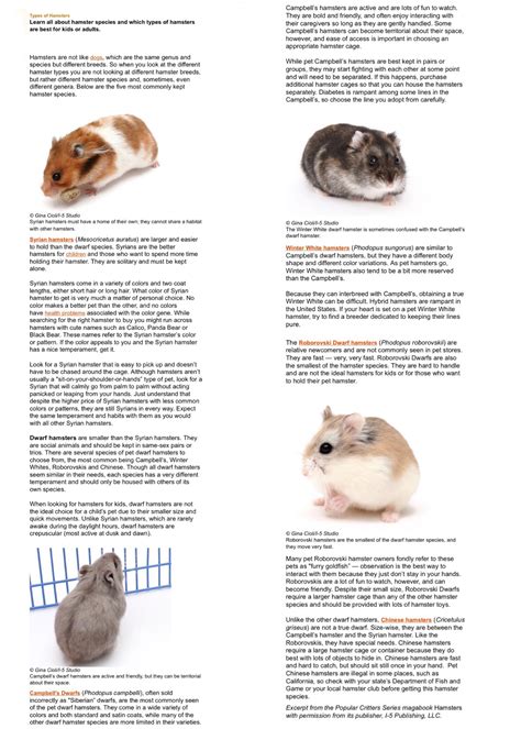 Types of Hamsters | Hamster species, Hamster habitat, Hamsters as pets