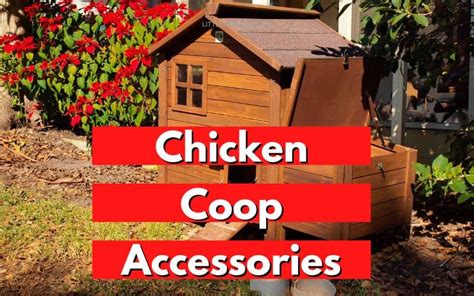 Chicken Coop Accessories