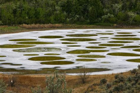 The Spotted Lake of Osoyoos ~ Kuriositas