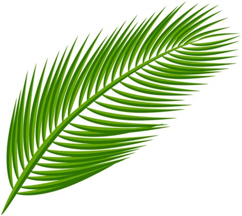 Leaf Palm Png | Free PNG Image