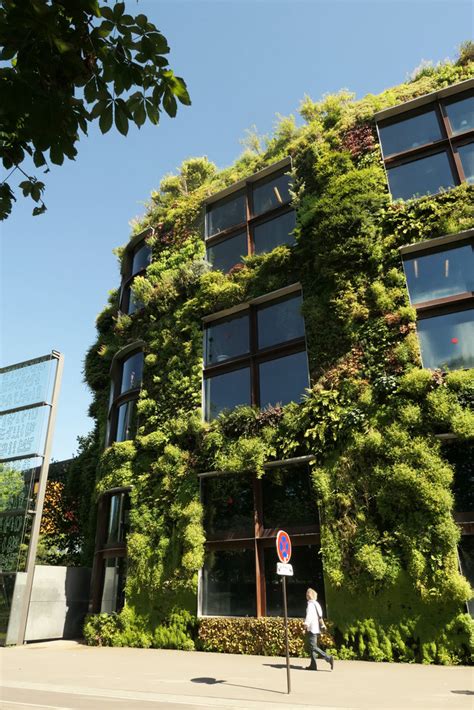 Quai Branly Museum | Vertical Garden Patrick Blanc